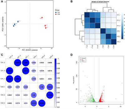 A Comparative Transcriptome Between Anti-drug Sensitive and Resistant Candida auris in China